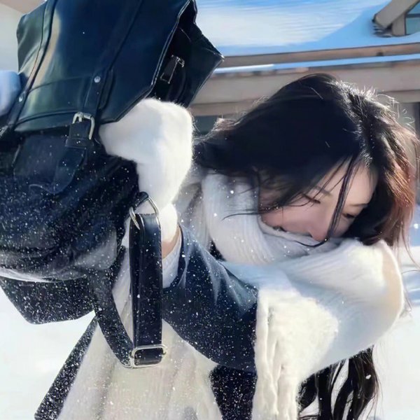 职业大贼